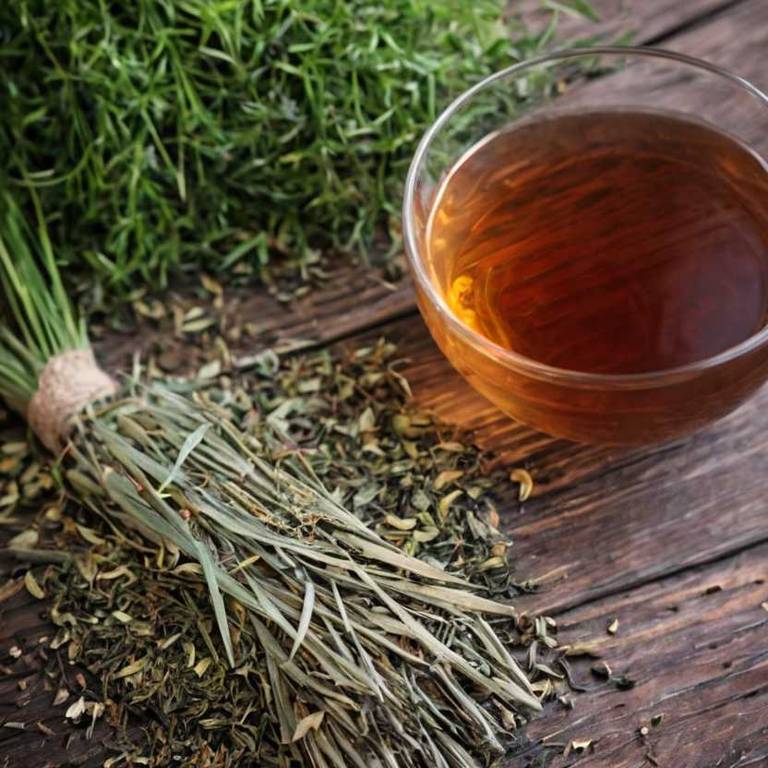 herbal teas for body-odor Cymbopogon citratus