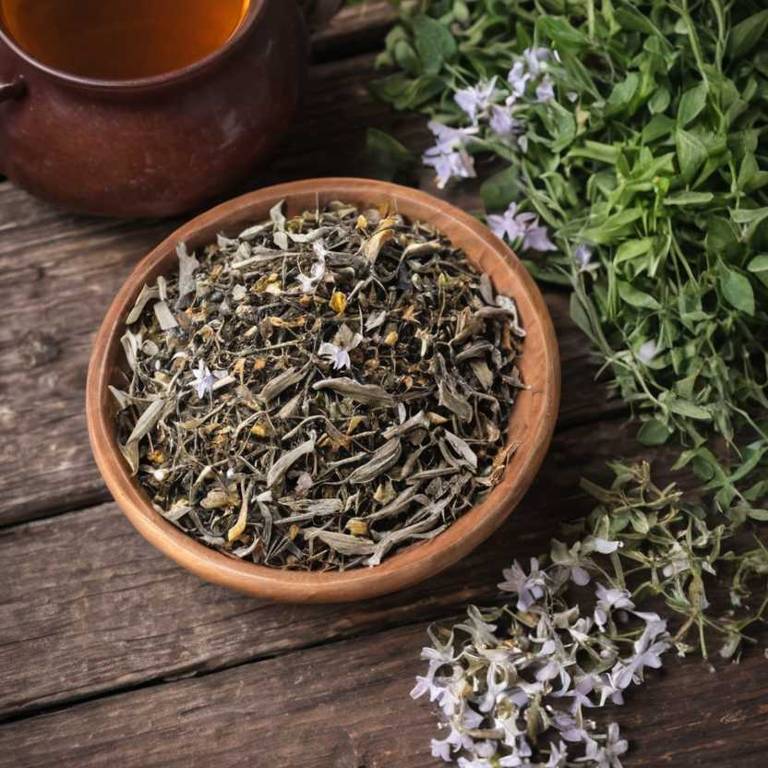 herbal teas for brain-fog Withania somnifera