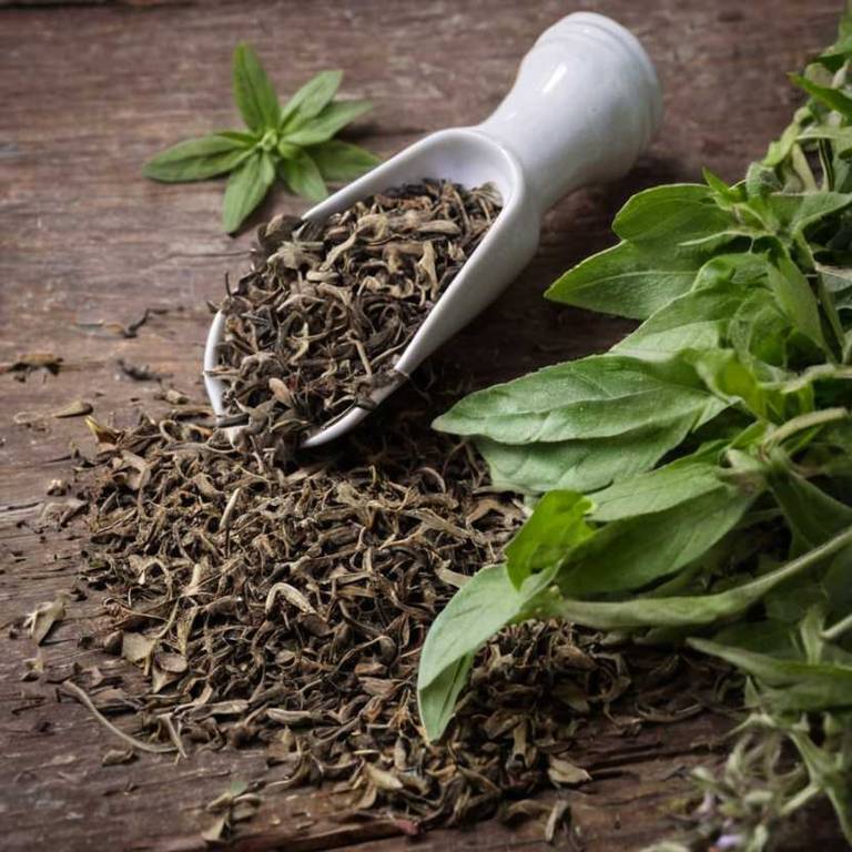 herbal teas for bruises Salvia officinalis