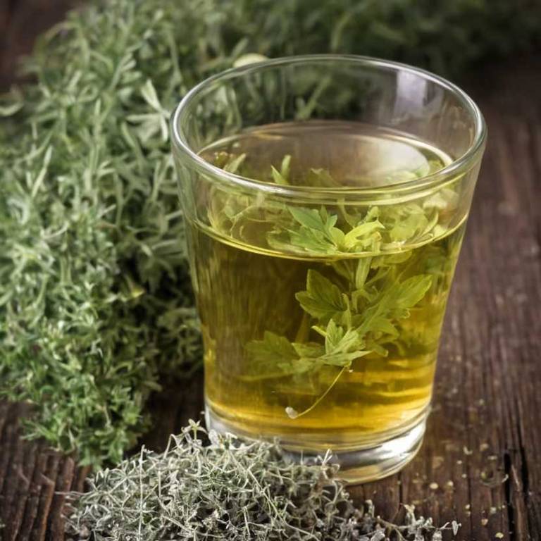 herbal teas for bunion Artemisia absinthium