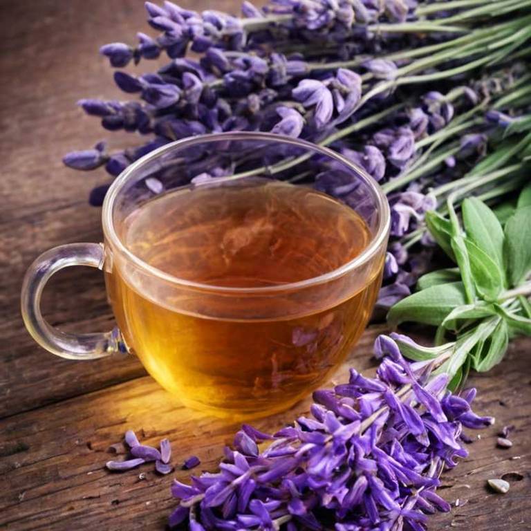 herbal teas for bunion Lavandula angustifolia