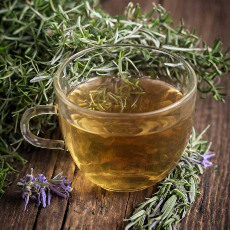 herbal teas for bunion Rosmarinus officinalis