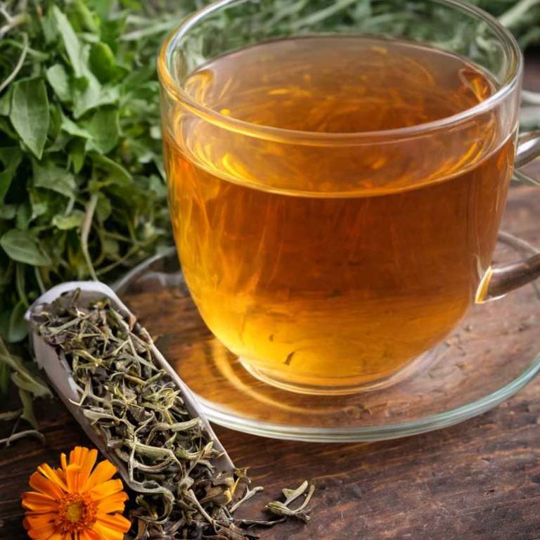 herbal teas for burning-feet Calendula officinalis