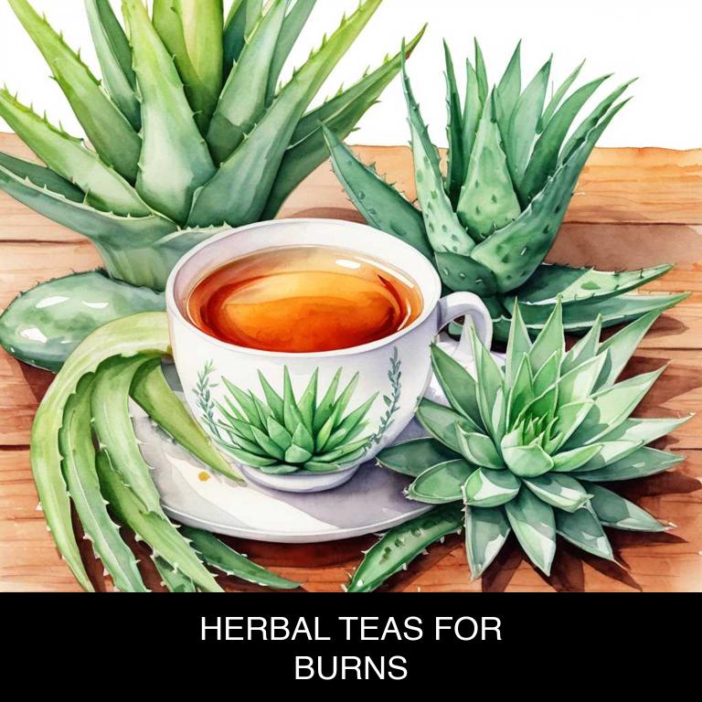 herbal teas for burns overview