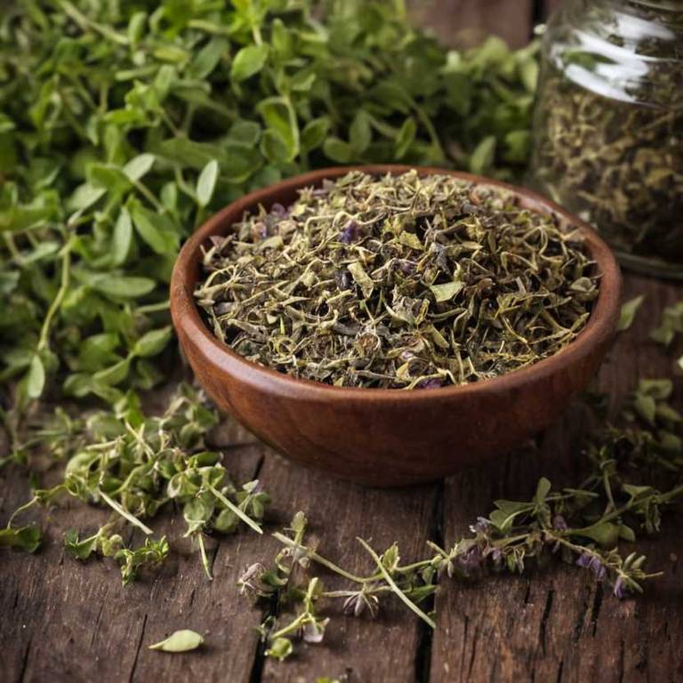 herbal teas for burping Origanum vulgare