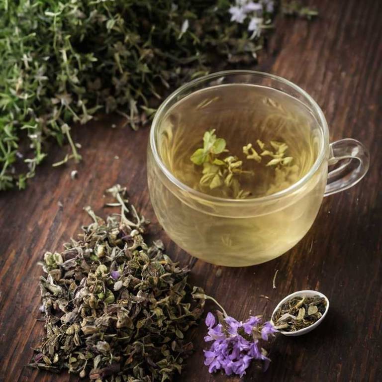 herbal teas for burping Thymus vulgaris