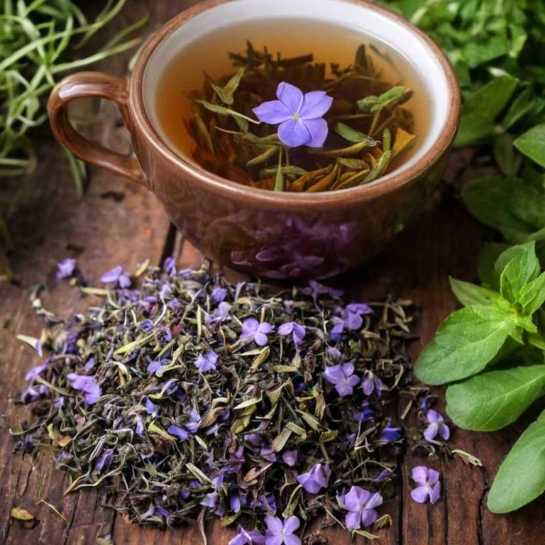 herbal teas for cirrhosis overview