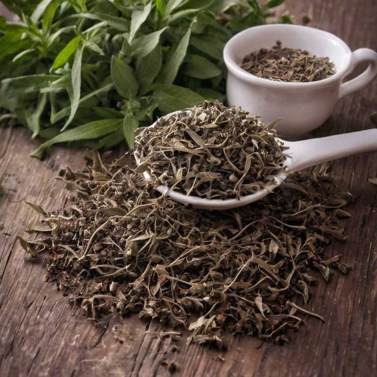 herbal teas for cold-sore Salvia officinalis