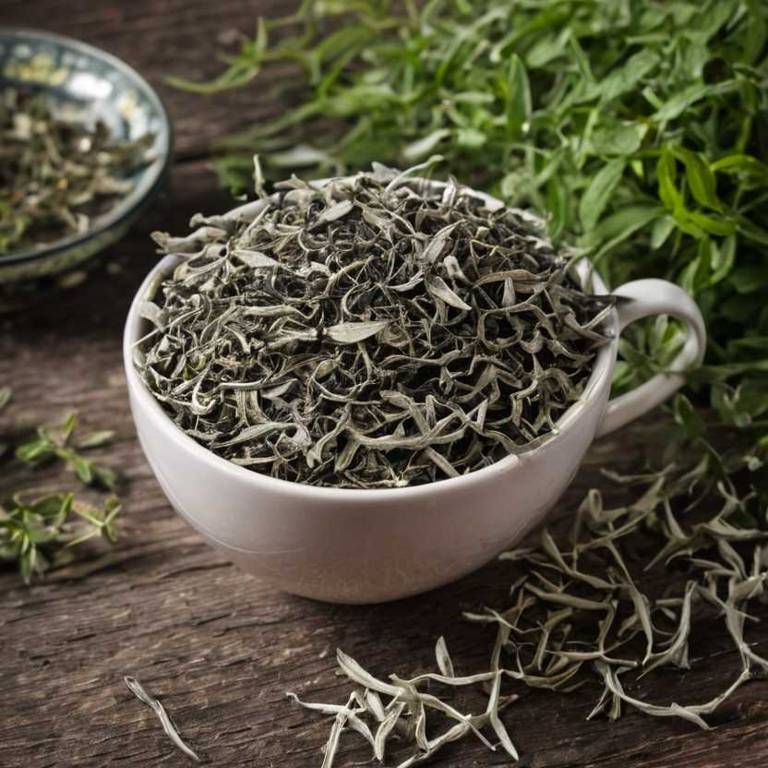 herbal teas for colds Andrographis paniculata