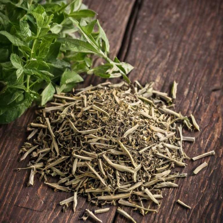 herbal teas for colds Eupatorium perfoliatum