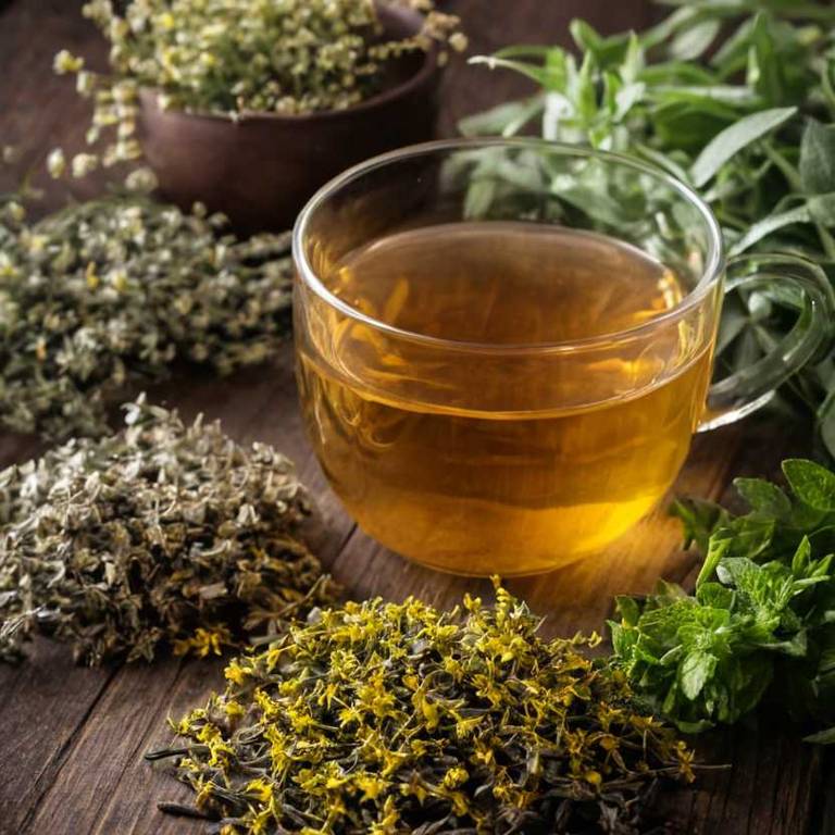 herbal teas for colds Solidago virgaurea