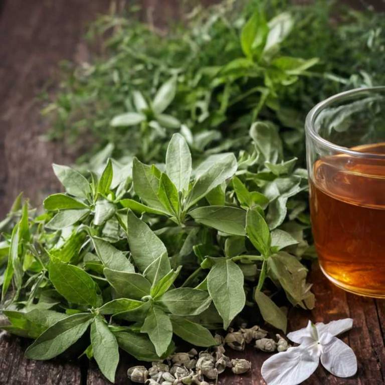 herbal teas for congestive-heart-failure Panax quinquefolius