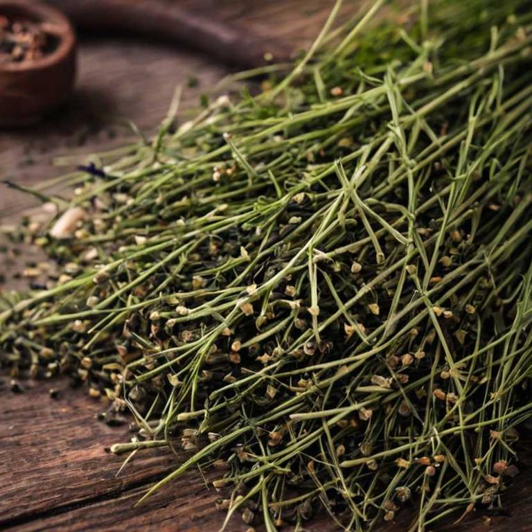 herbal teas for cracked-heels Equisetum arvense