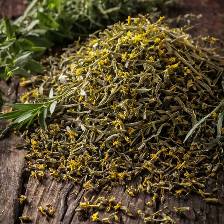 herbal teas for cystitis Solidago virgaurea