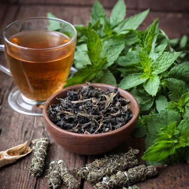 herbal teas for dark-circles Mentha x piperita