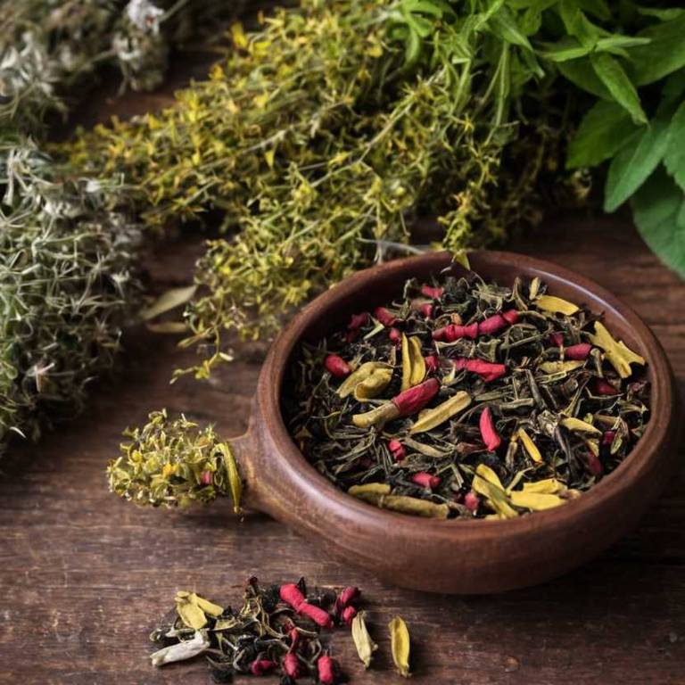 herbal teas for dark-lips Rhus typhina