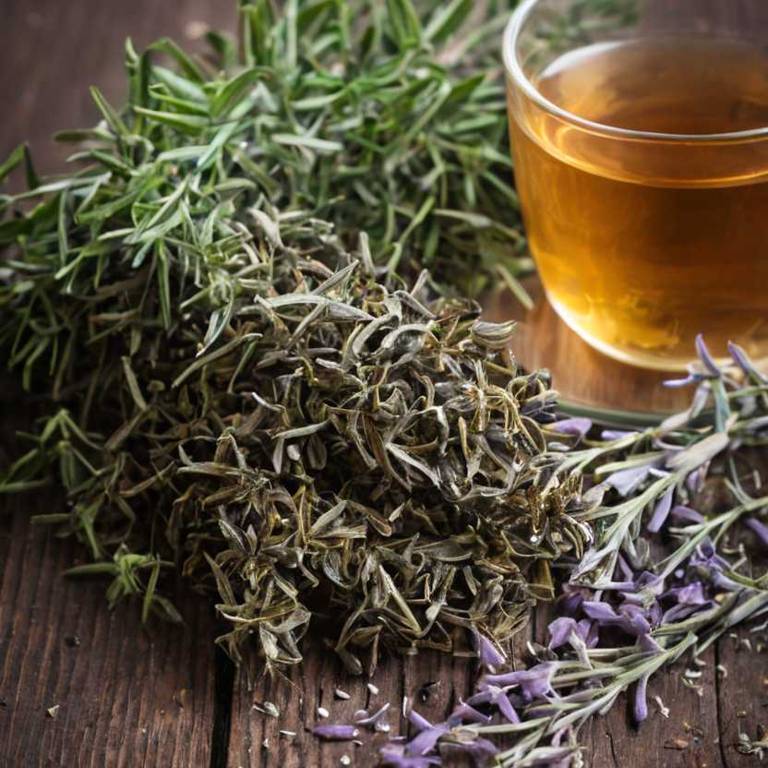 herbal teas for difficult-speaking Rosmarinus officinalis