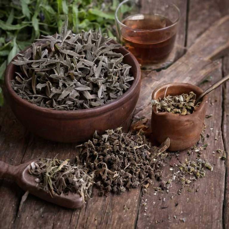 herbal teas for difficulty-chewing Salvia officinalis