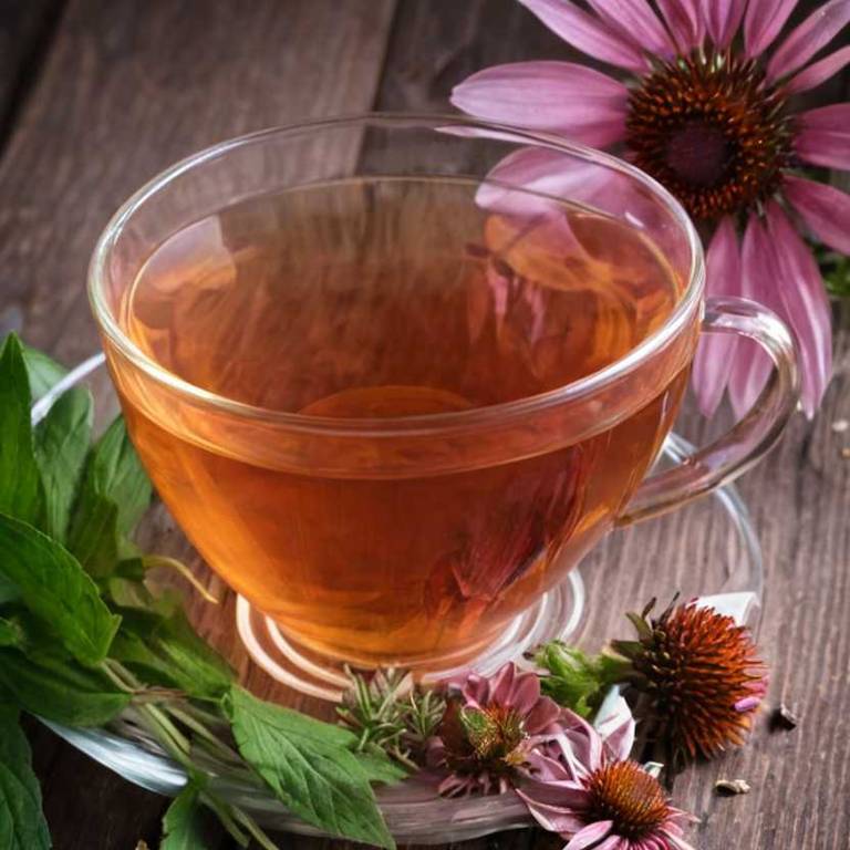 herbal teas for difficulty-eating Echinacea angustifolia