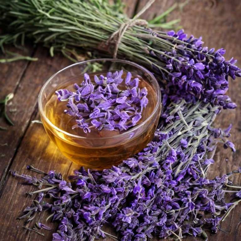 herbal teas for difficulty-eating Lavandula angustifolia