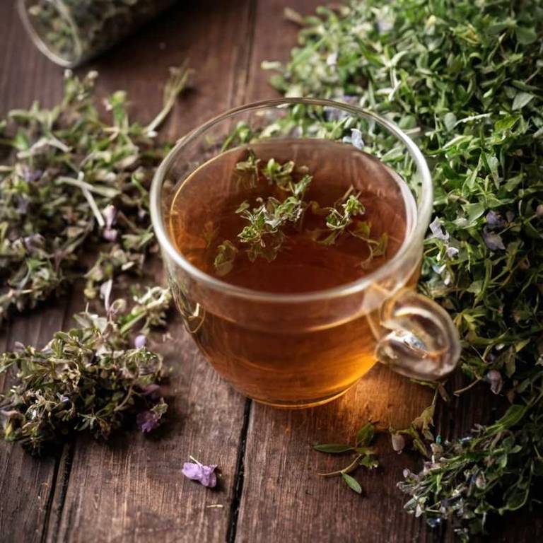 herbal teas for difficulty-swallowing Thymus serpyllum