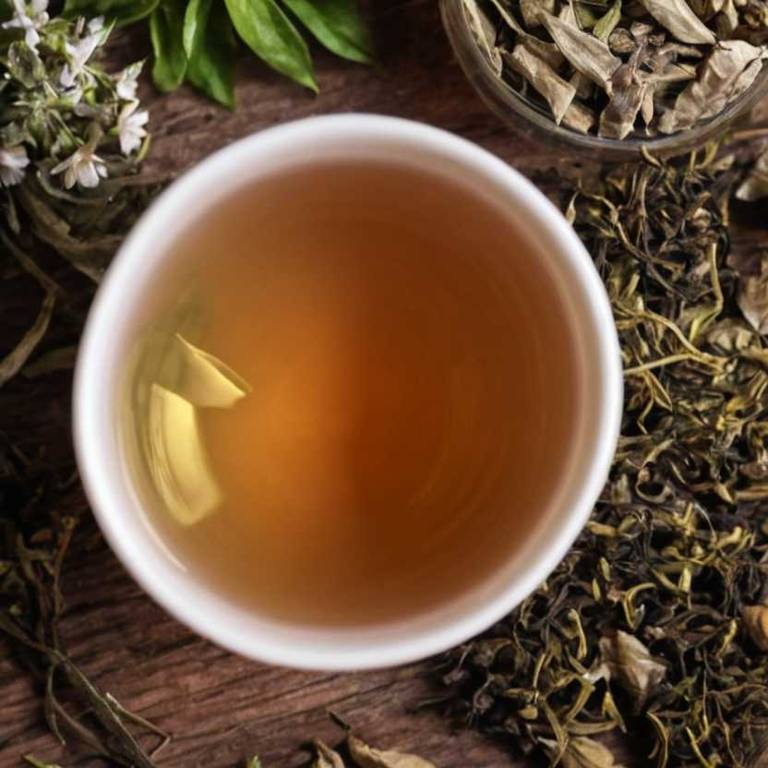 herbal teas for diverticulitis Camellia sinensis