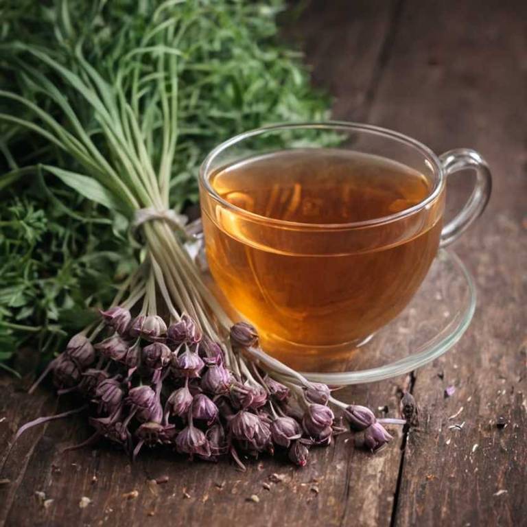 herbal teas for emphysema Allium sativum