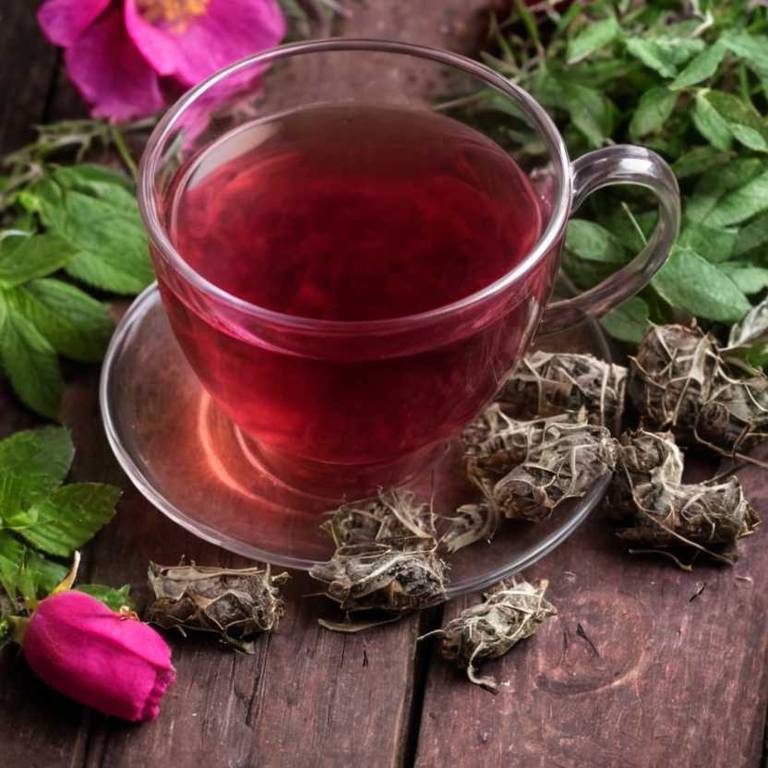 herbal teas for endometriosis-pain Rosa rugosa