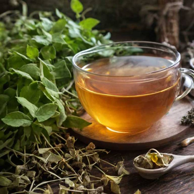 herbal teas for erectile-disfunction Epimedium sagittatum