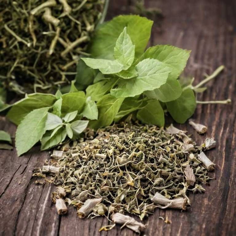 herbal teas for eye-twitching Tilia cordata