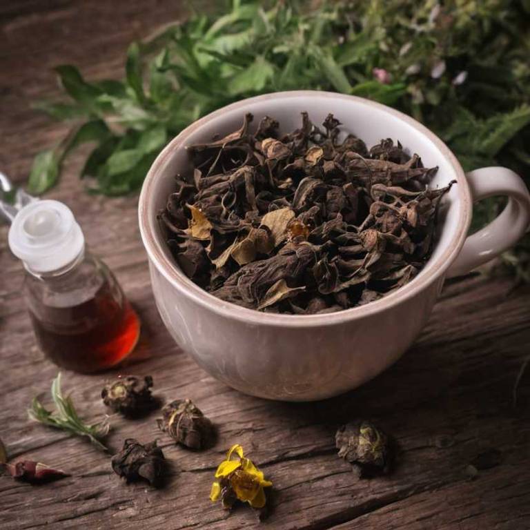 herbal teas for frozen-shoulder Rehmannia glutinosa