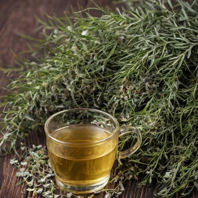 herbal teas for fungal-skin-infection Melaleuca alternifolia