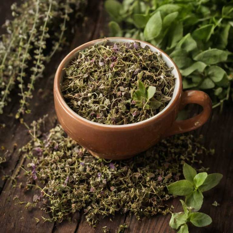 herbal teas for glowing-skin Origanum vulgare