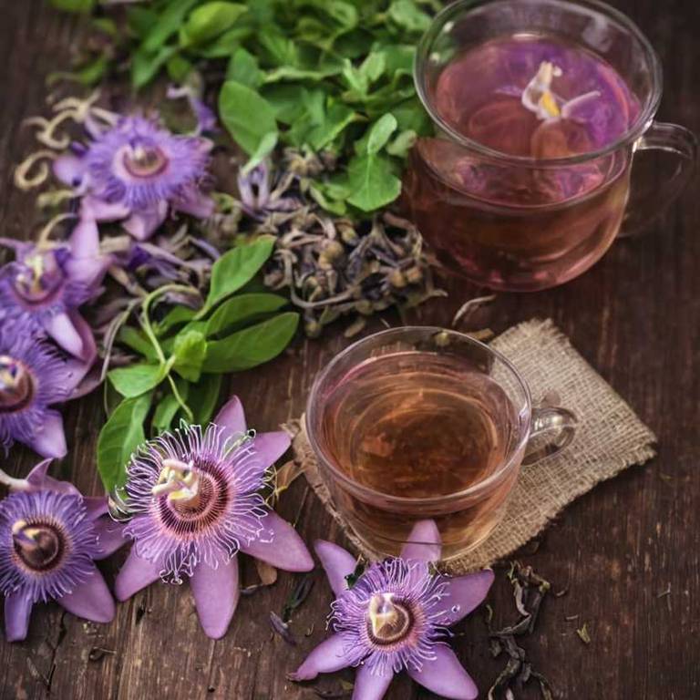 herbal teas for hangover Passiflora incarnata