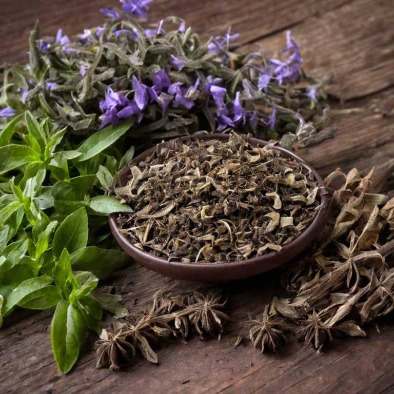 herbal teas for high-cholesterol Salvia officinalis