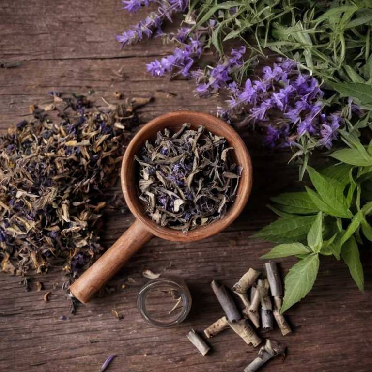 herbal teas for hot-flashes Vitex agnus castus