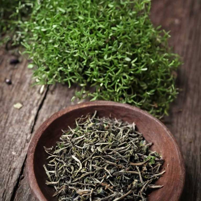 herbal teas for inflammation Harpagophytum procumbens