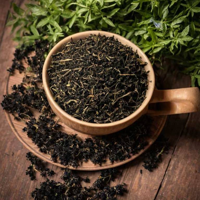 herbal teas for ingrown-toenail Sambucus nigra