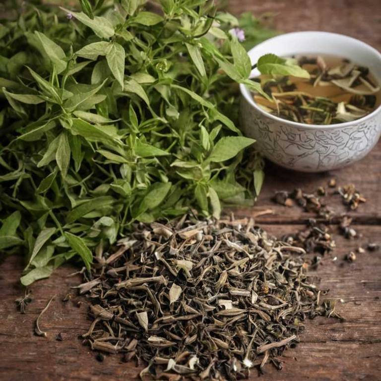 herbal teas for insect-bites overview