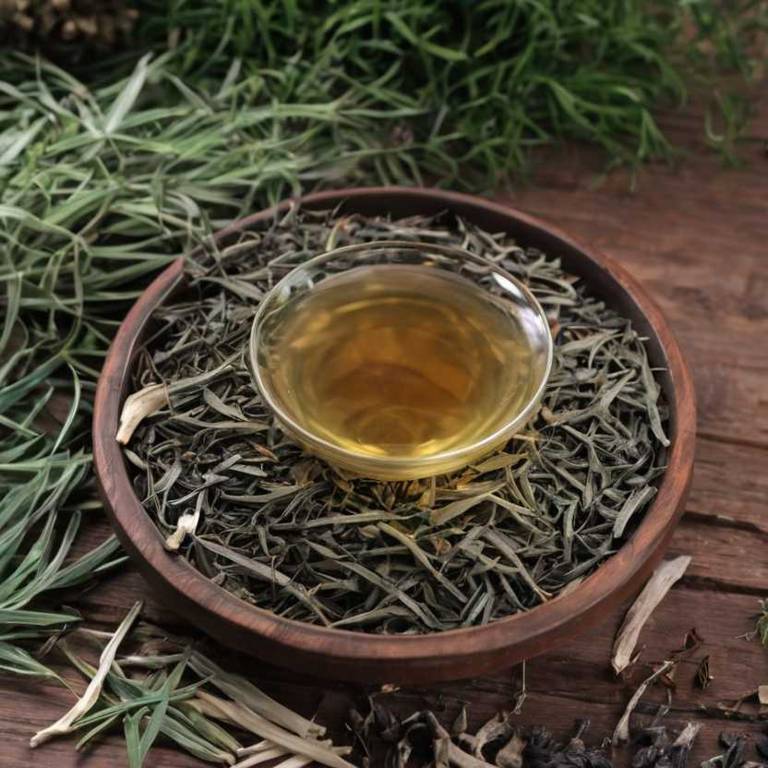 herbal teas for insomnia overview