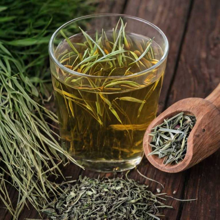 herbal teas for itchy-scalp Cymbopogon citratus