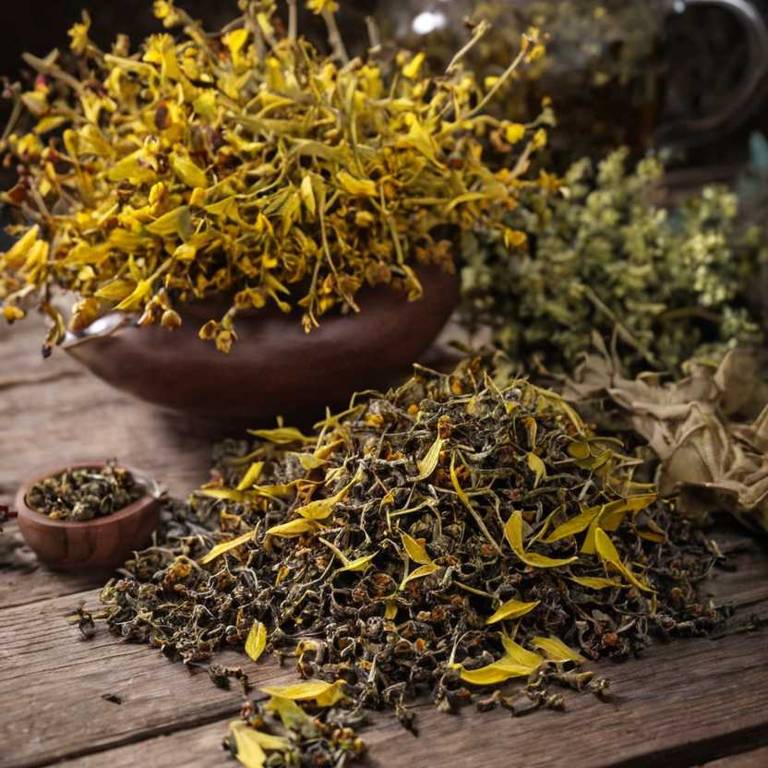 herbal teas for jammed-finger Hamamelis virginiana