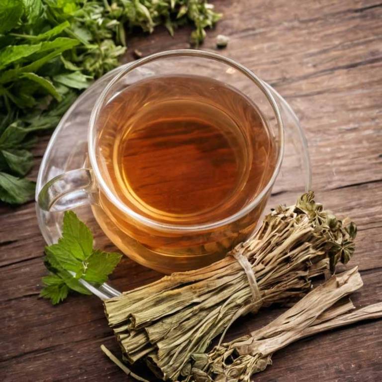 herbal teas for low-blood-pressure Angelica sinensis