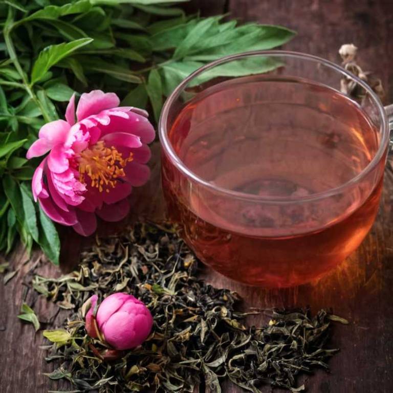 herbal teas for low-blood-pressure Paeonia lactiflora