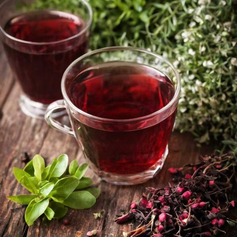 herbal teas for lower-back-pain Vaccinium myrtillus