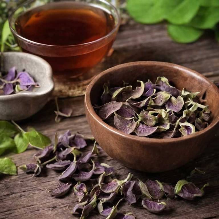 herbal teas for lymph-node-swelling overview