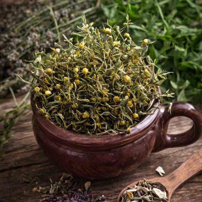 herbal teas for menstrual-cramps overview