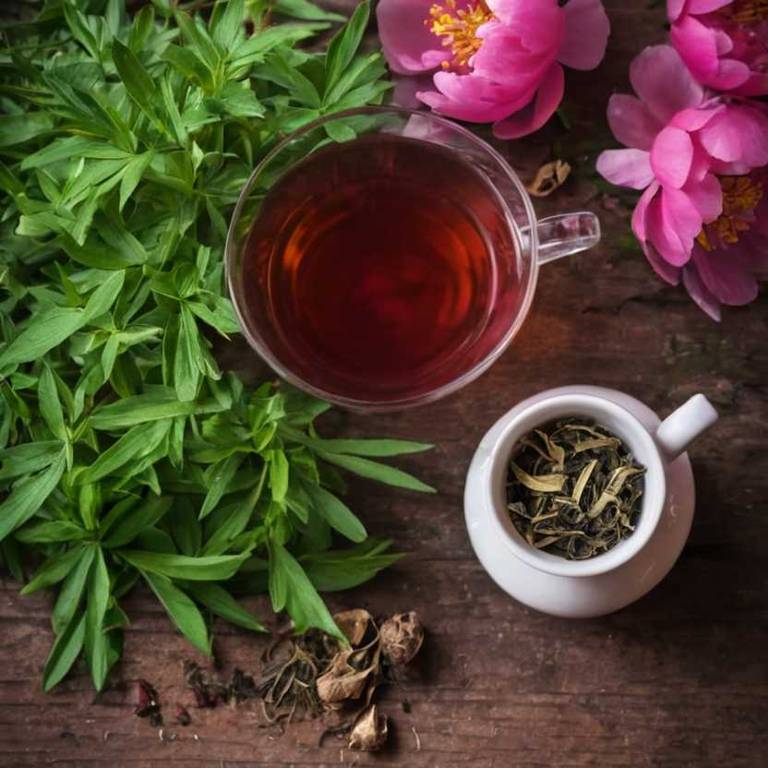 herbal teas for menstrual-cramps Paeonia officinalis