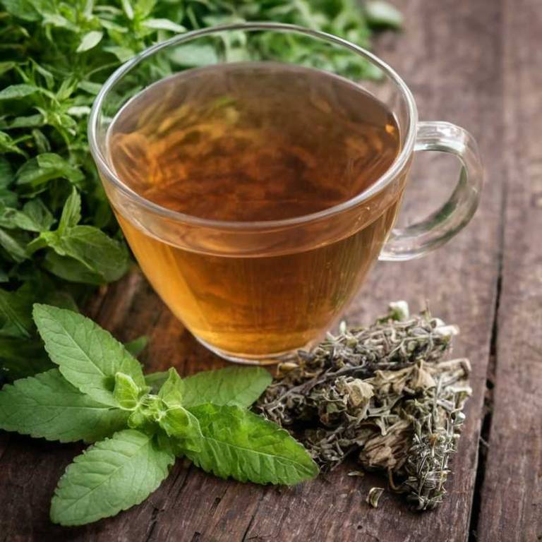 herbal teas for morning-sickness Melissa officinalis