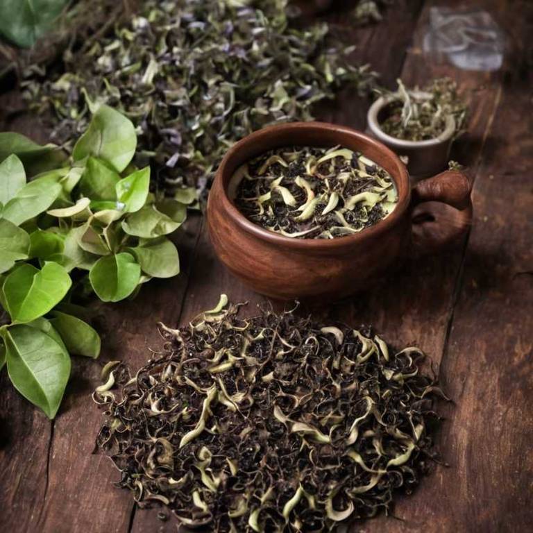 herbal teas for morning-sickness overview